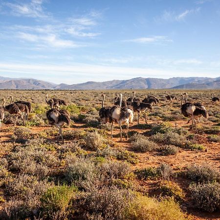 Inverdoorn Game Reserve Lodge Breede River エクステリア 写真