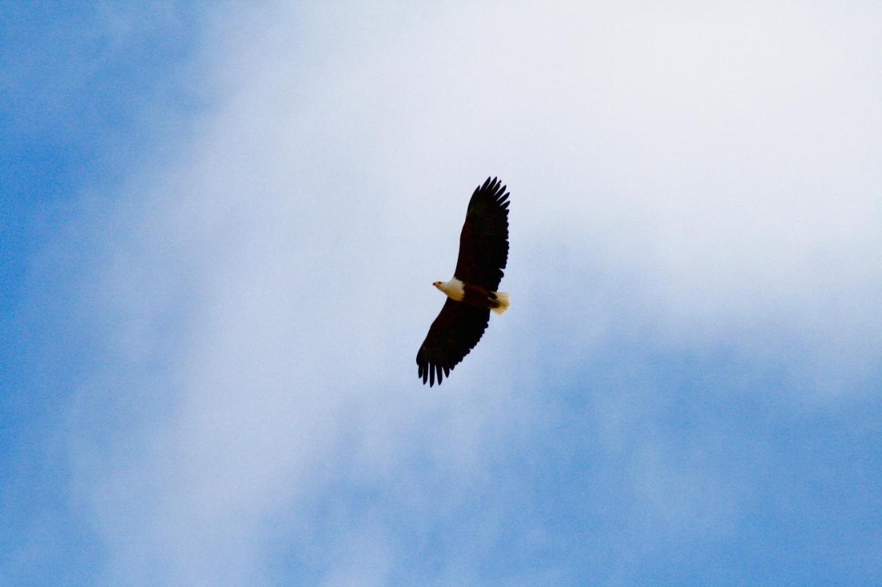 Inverdoorn Game Reserve Lodge Breede River エクステリア 写真