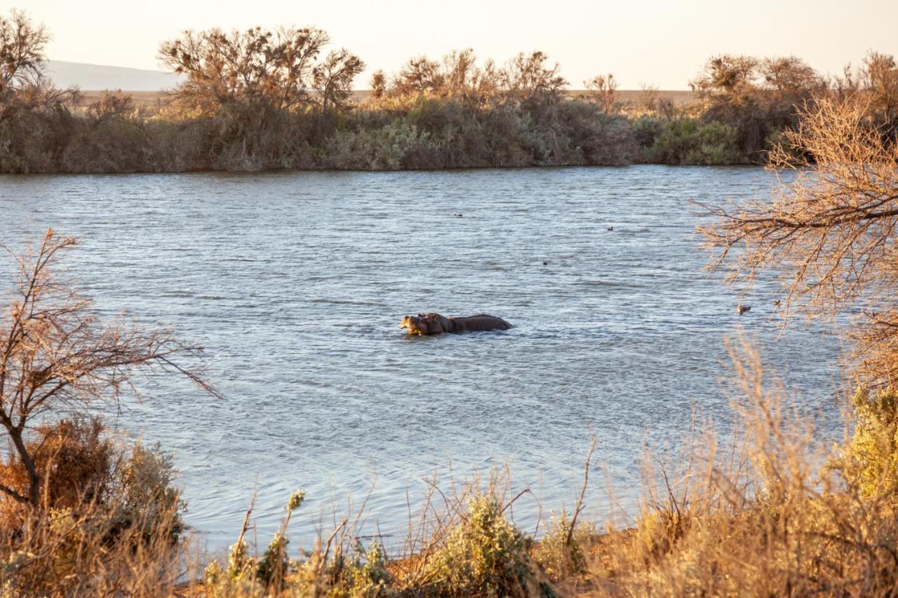 Inverdoorn Game Reserve Lodge Breede River エクステリア 写真