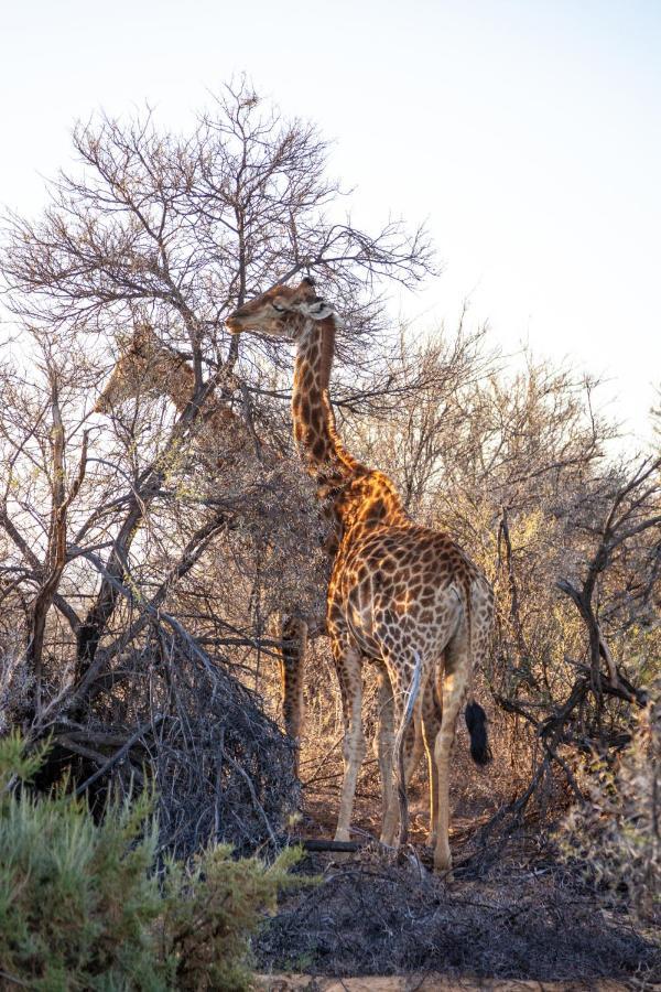 Inverdoorn Game Reserve Lodge Breede River エクステリア 写真