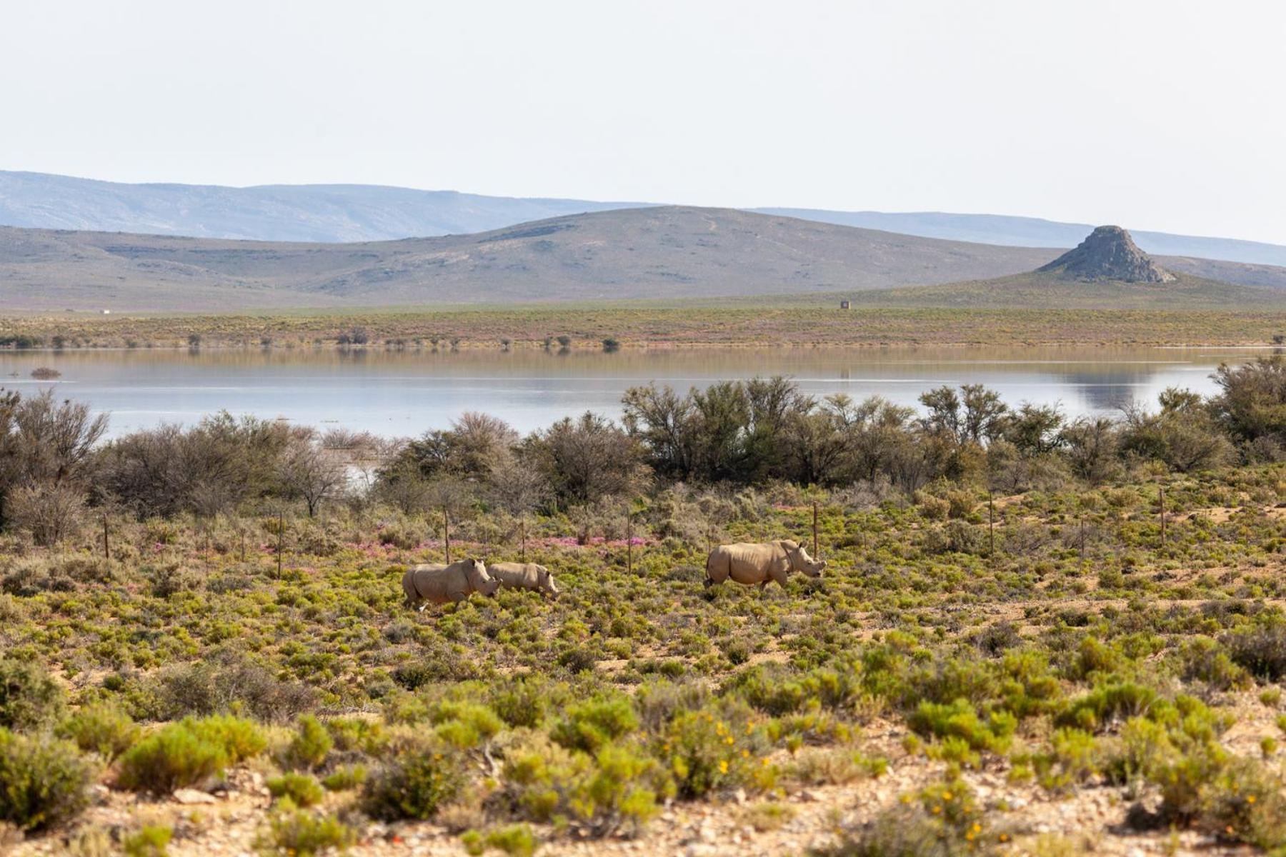 Inverdoorn Game Reserve Lodge Breede River エクステリア 写真